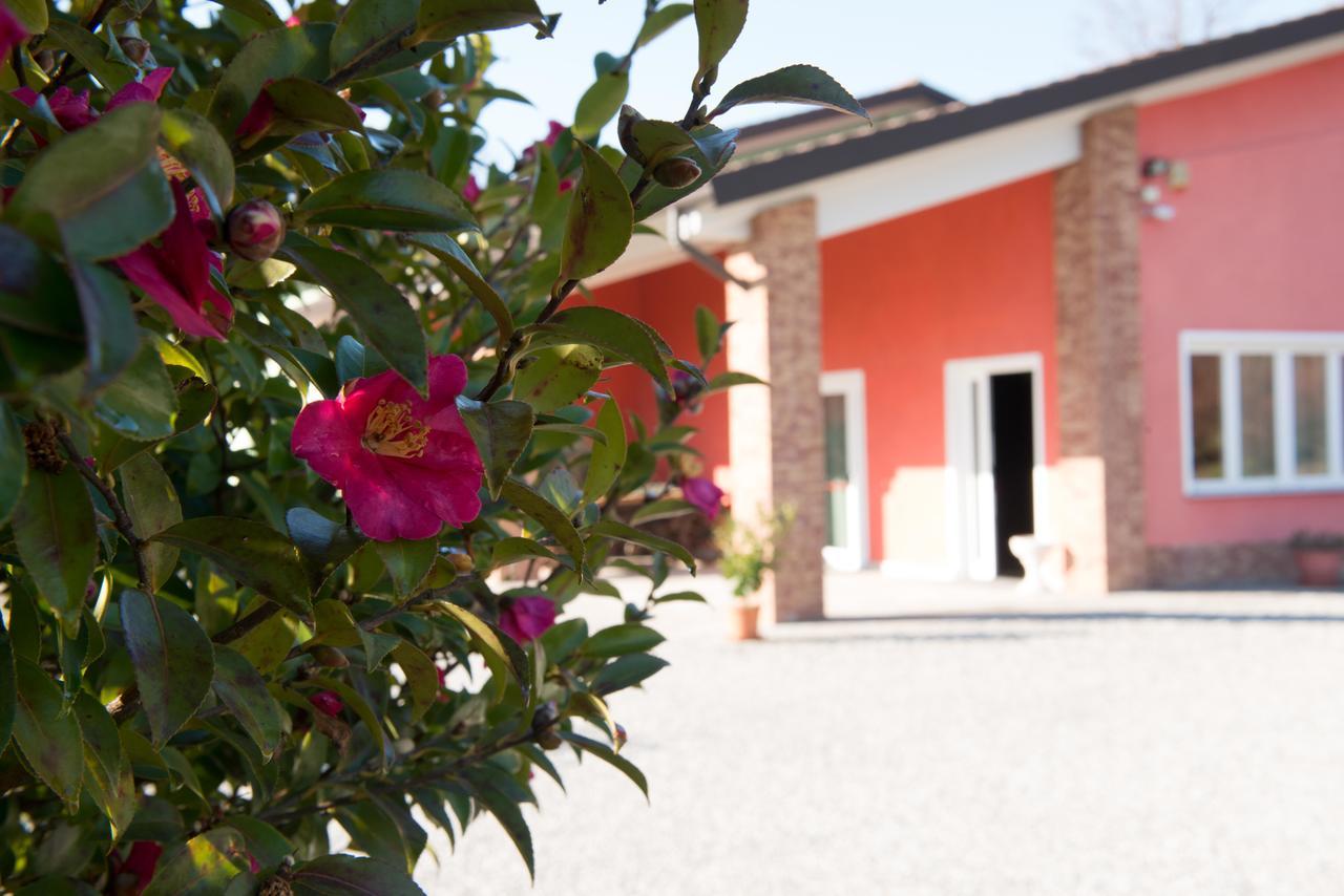 Tenuta La Vigna Malgesso Zewnętrze zdjęcie